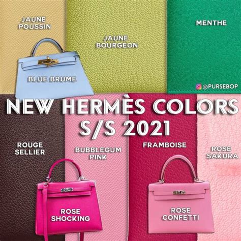 hermes 顏色 2021|Hermes mushroom 色差.